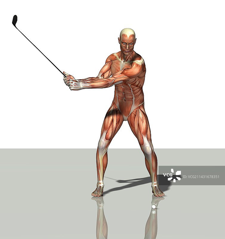 男性肌肉，艺术作品图片素材