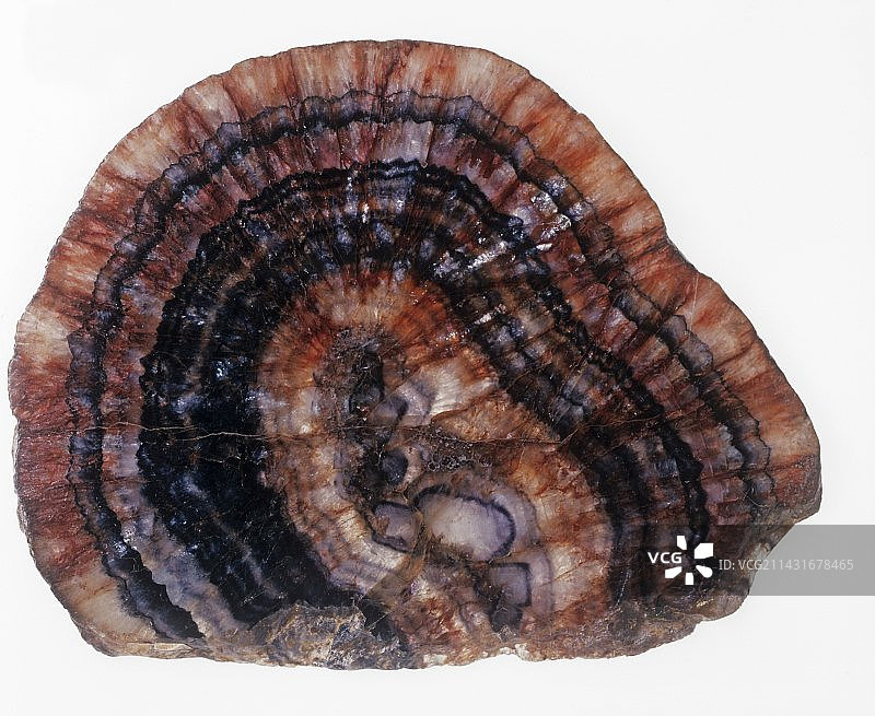 蓝约翰石标本图片素材