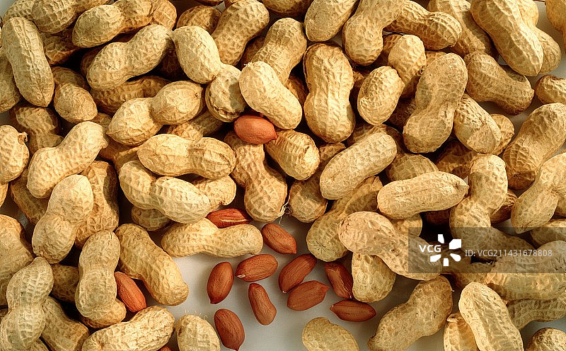 花生图片素材