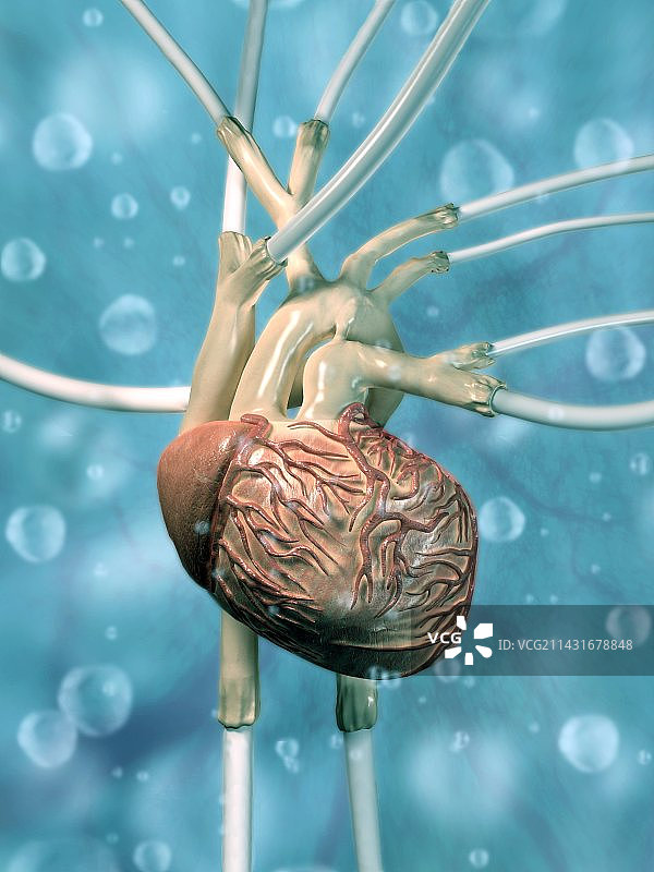 人造心脏概念艺术作品图片素材