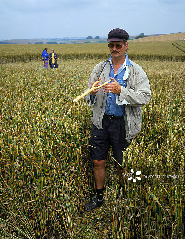 在麦田怪圈里寻物的人图片素材