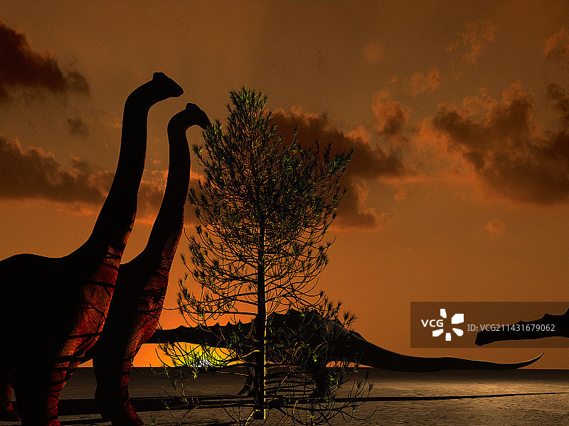 蜥脚类恐龙图片素材