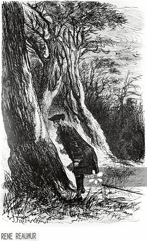 研究蚂蚁的法国博物学家勒内·雷欧米尔图片素材