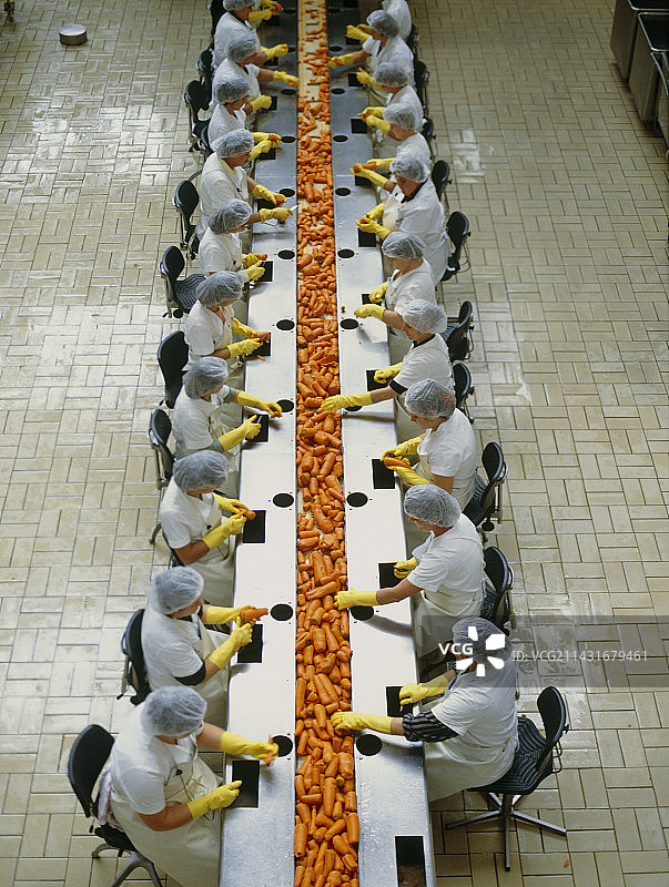 胡萝卜质量控制图片素材