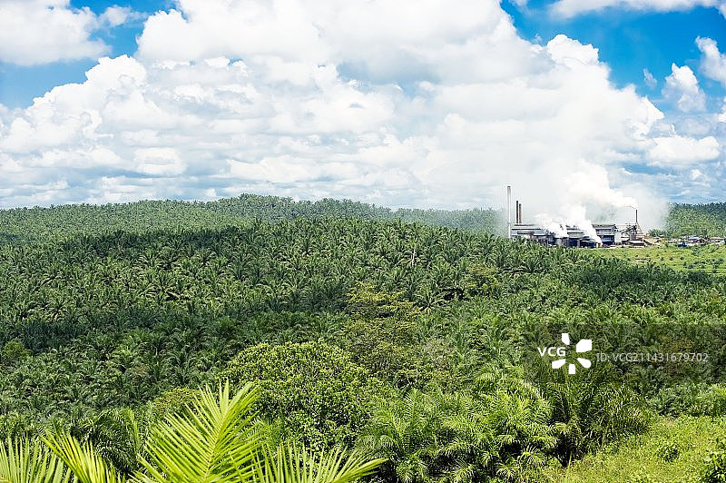 马来西亚棕榈油加工厂图片素材