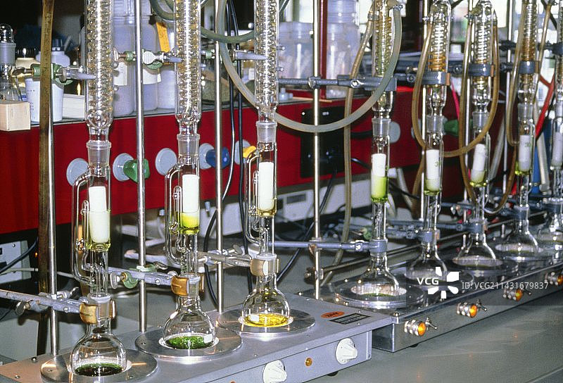 从青蒿中提取抗疟药物图片素材