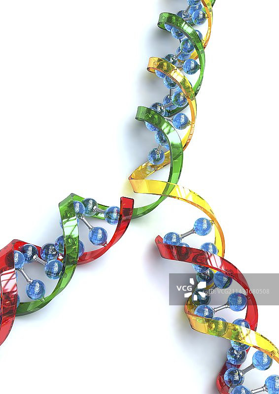 DNA复制，艺术作品图片素材