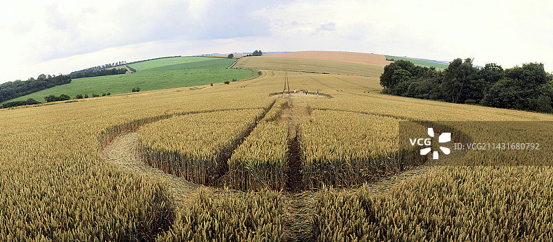 威尔特郡洛克里奇的麦田怪圈图片素材