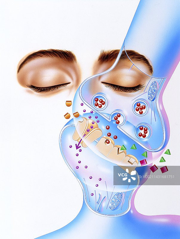 显示安眠药作用的艺术画图片素材