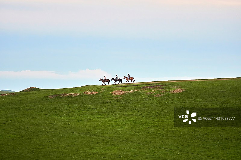 山岗上骑马的游客图片素材