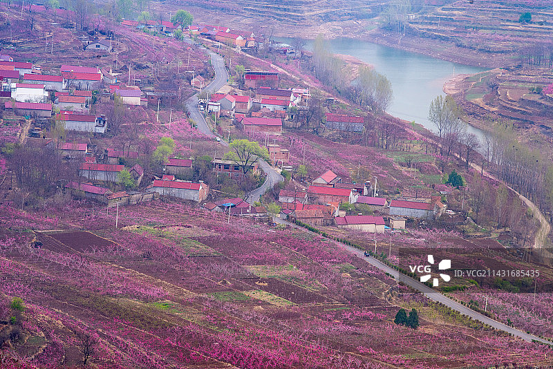 山东蒙阴岱崮地貌桃花节图片素材