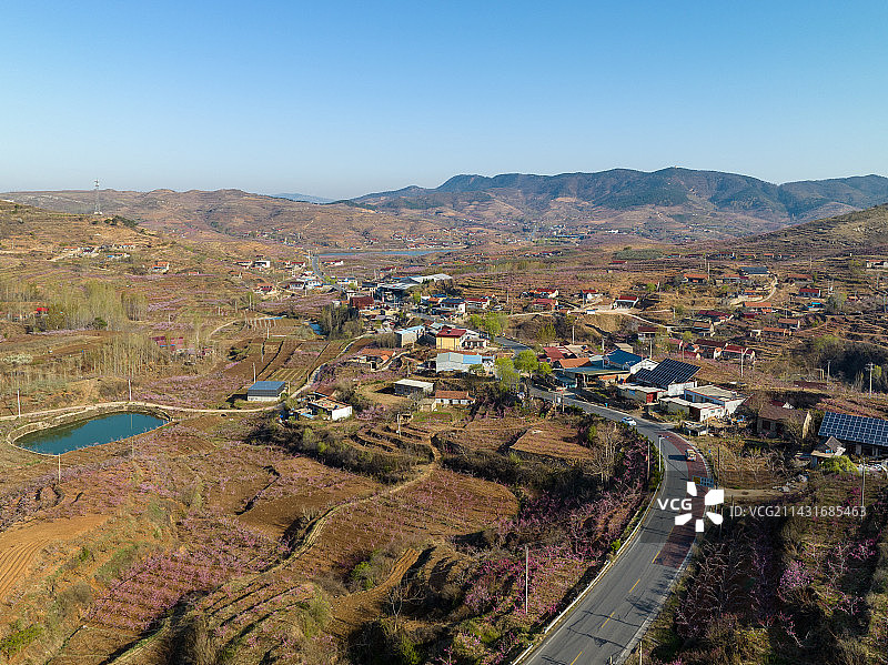 山东蒙阴岱崮地貌桃花节图片素材