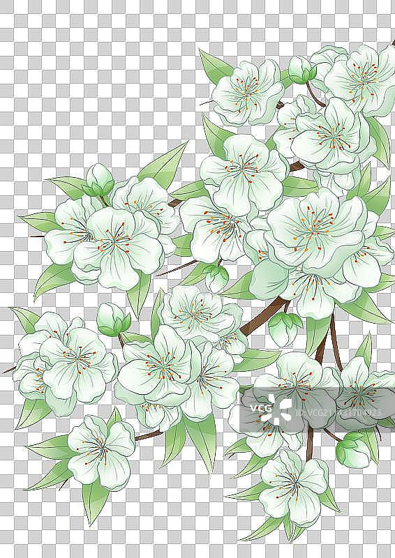 春天中国风国潮梨花温馨清新插画图片素材