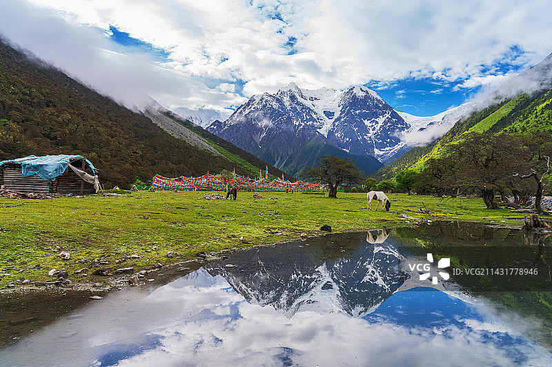 中国西藏林芝市甲应村的草原牧场和梅里雪山美景图片素材
