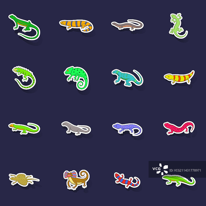 蜥蜴图标贴纸套装图片素材