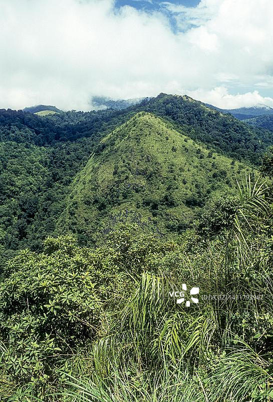 寂静山谷，热带常绿森林，喀拉拉邦，南印度，亚洲，印度图片素材