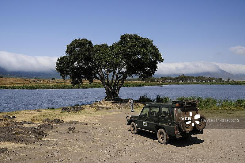 坦桑尼亚恩戈罗恩戈罗火山口云雾沼泽图片素材