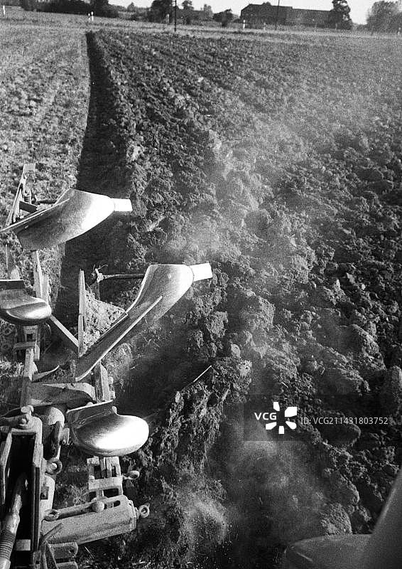 1971年9月10日，在德国明斯特地区田地里劳作的农民图片素材