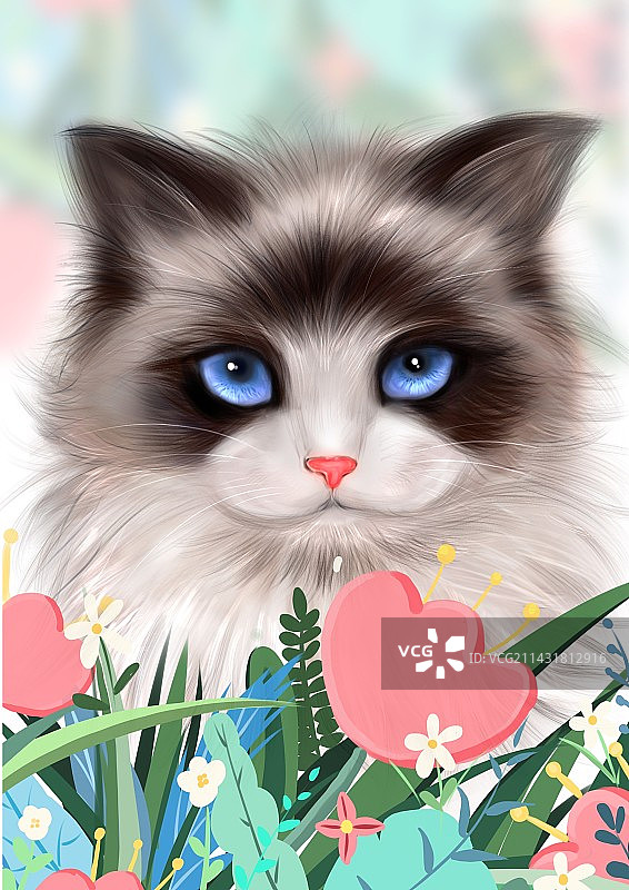 可爱猫咪图片素材