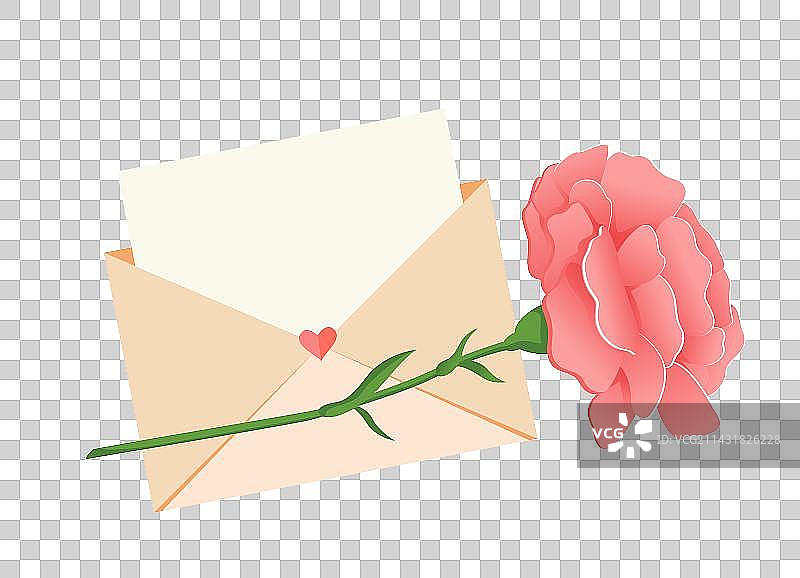 康乃馨花卉图片素材