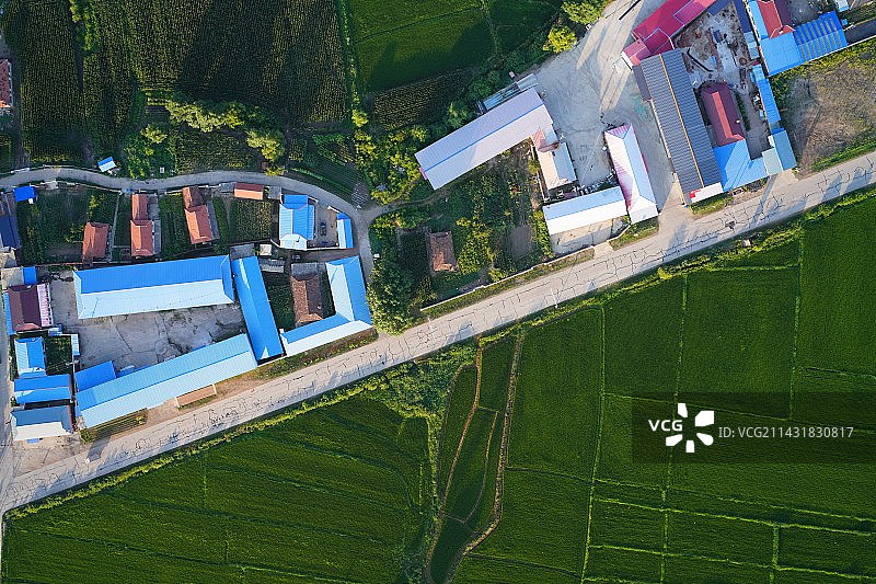 航拍乡村田园风光图片素材