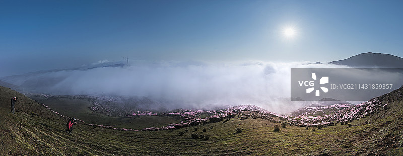云上乌蒙大草原花海图片素材