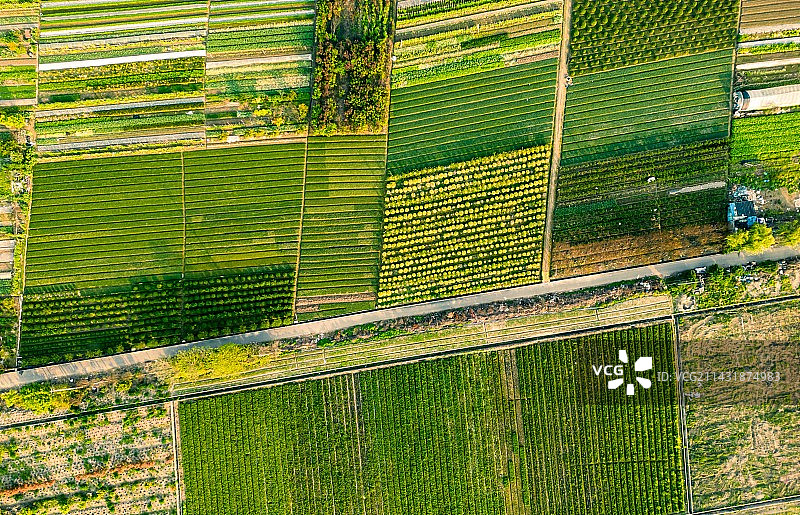 农业领域的高角度视角图片素材
