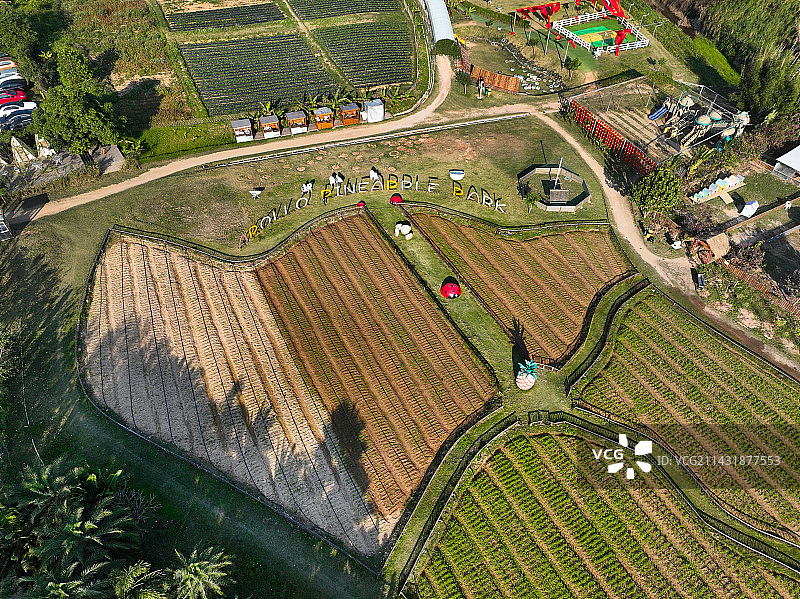 广东省深圳市宝安区石岩阿菠萝小猪的王国航拍图片素材