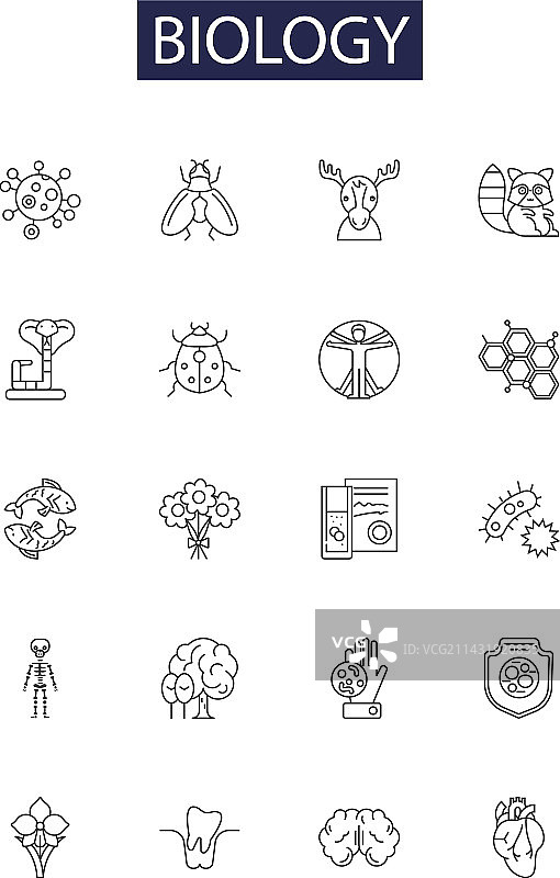 生物学线性图标和遗传学标志图片素材