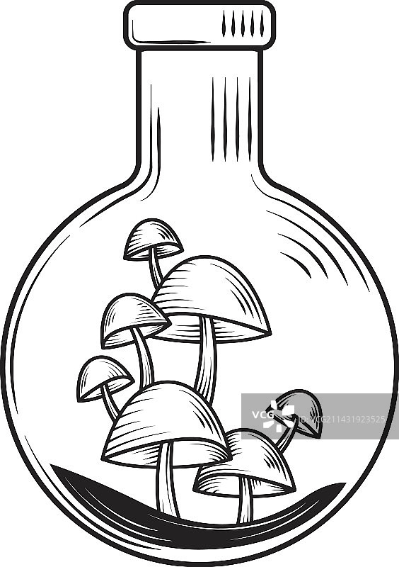 装有蘑菇的炼金瓶图片素材