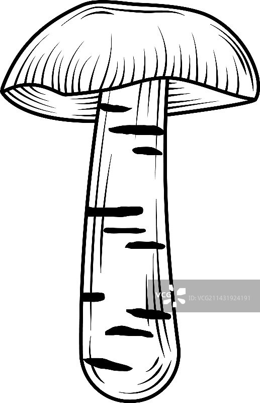 有机蘑菇图标图片素材