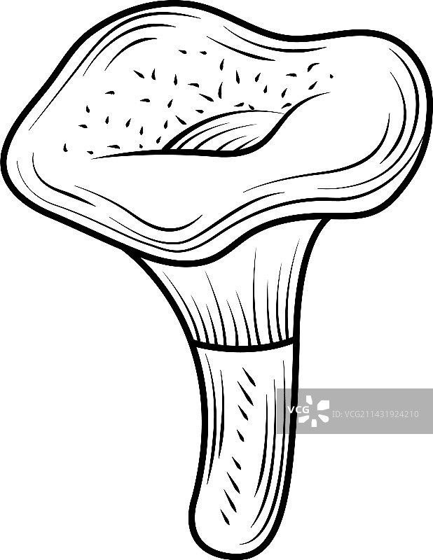 蘑菇植物学图标图片素材