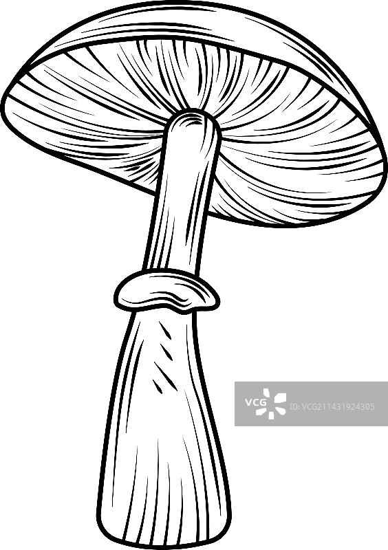 扁平风格蘑菇图标图片素材