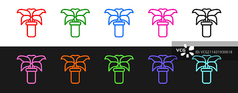 盆栽异域热带植物线条图案图片素材