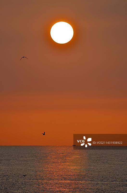意大利艾米利亚-罗马涅大区切塞纳蒂科亚得里亚海日出图片素材