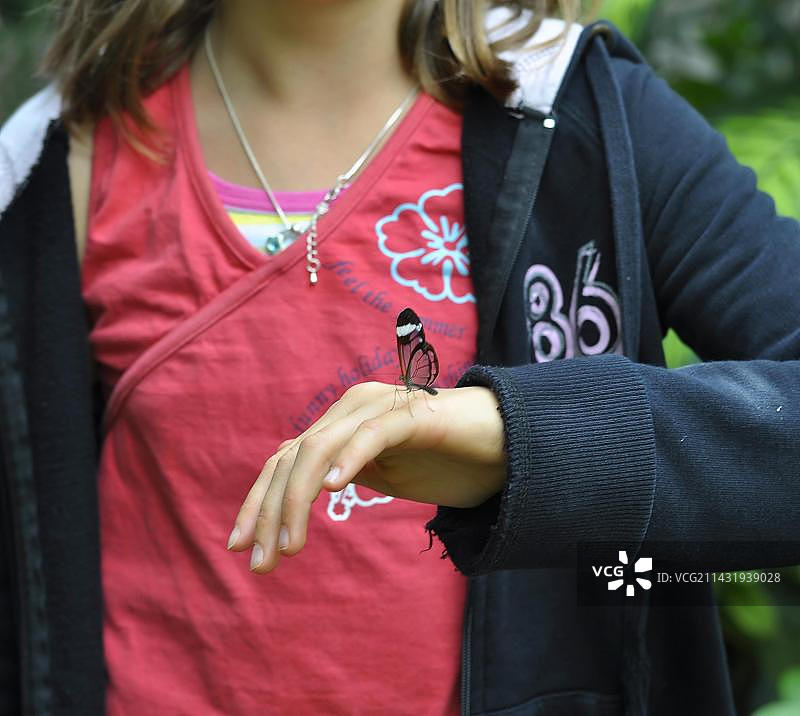 在康斯坦茨湖迈瑙岛蝴蝶屋，蝴蝶停在女孩的手上图片素材