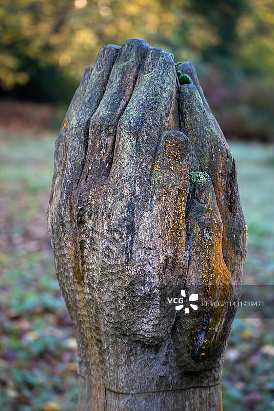 英国西萨塞克斯郡克劳利布坎郊野公园的木雕，2020年11月4日图片素材