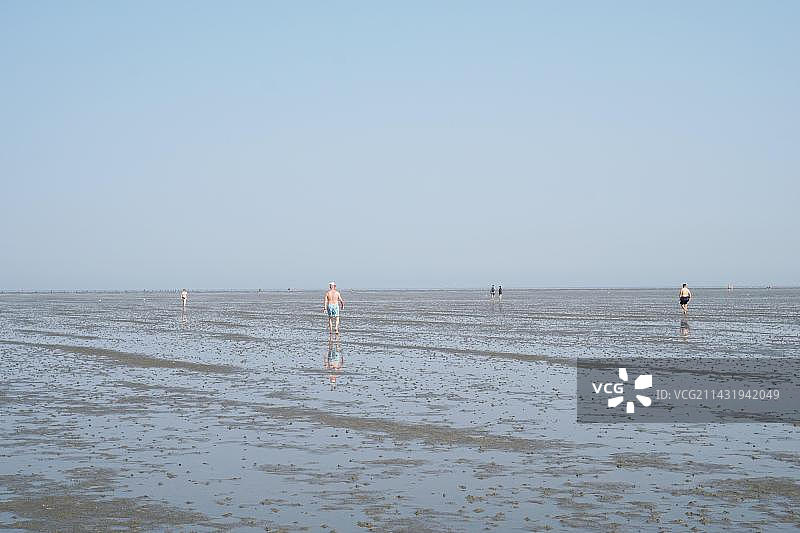 德国库克斯哈芬，2019年8月26日：北海海岸退潮时的景象，人们在泥泞的潮滩上行走图片素材
