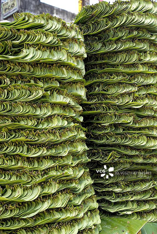 在印度南部泰米尔纳德邦贡伯戈讷姆市场上的槟榔叶图片素材