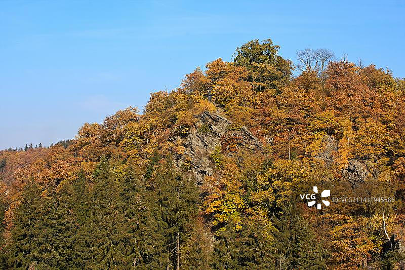 树叶着色图片素材
