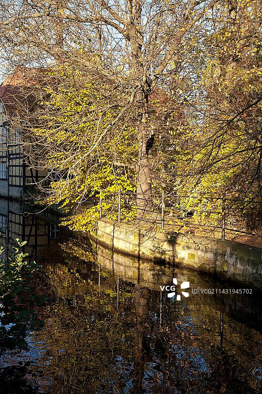 奎德林堡金色秋季风光图片素材