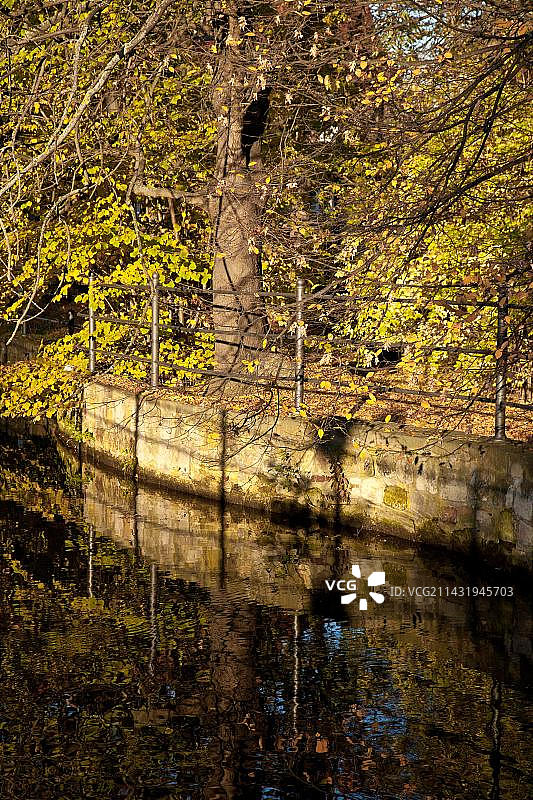 奎德林堡金色秋季风光图片素材