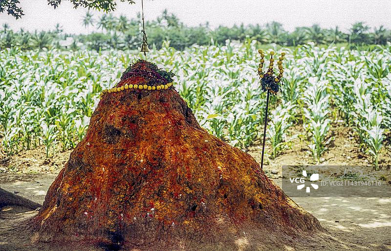 印度泰米尔纳德邦的白色蚁丘图片素材