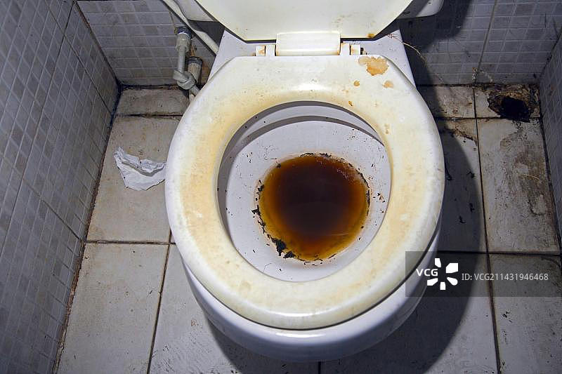 泰国曼谷受污染的公共厕所里的蠕虫图片素材