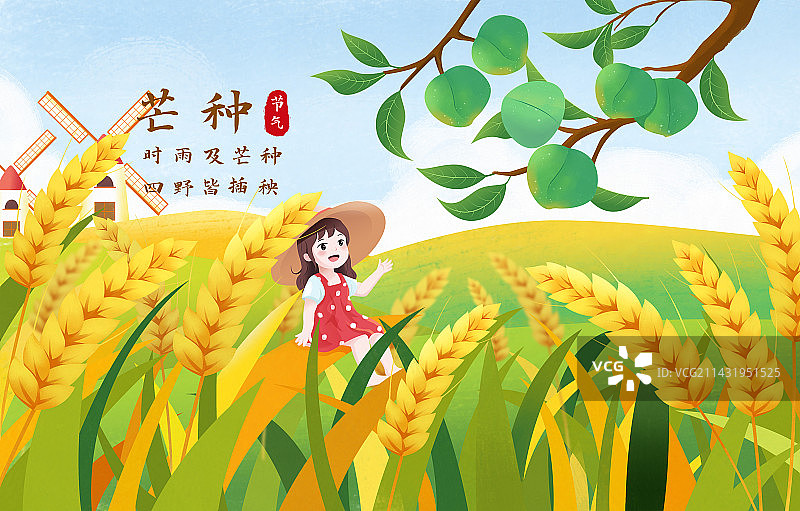 传统节气芒种少女摘青梅插画海报图片素材