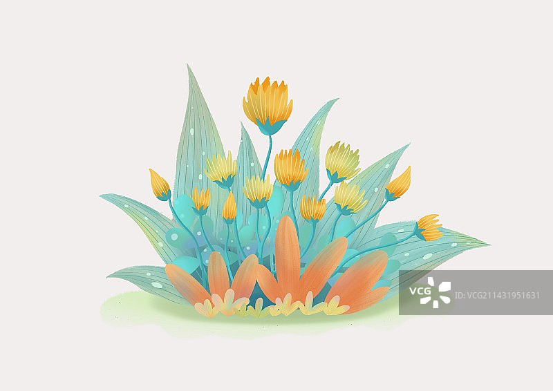 小植物元素插画图片素材