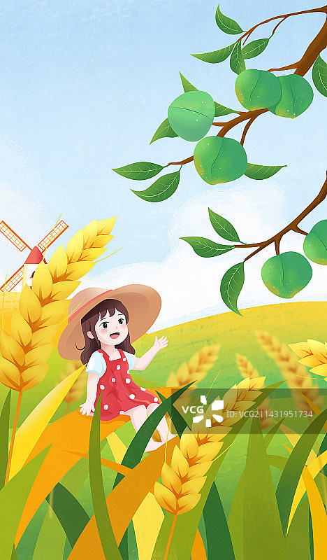传统节气芒种少女摘青梅插画海报图片素材