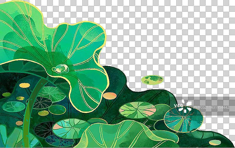 池塘荷叶边框2图片素材