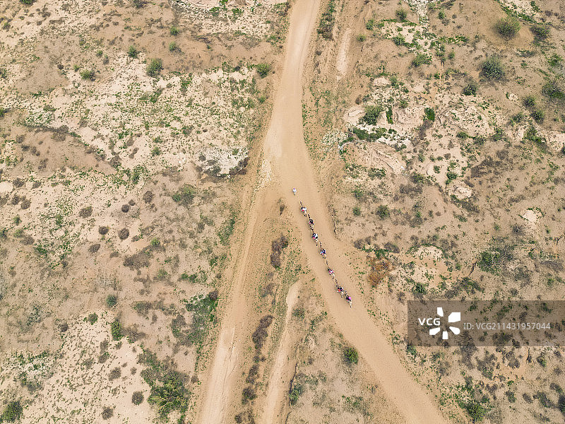 宁夏银川水洞沟景区航拍骆驼队伍图片素材