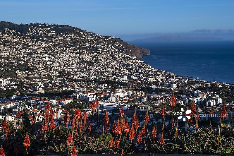 从巴塞罗斯峰观景台观看丰沙尔夜景，芦荟，葡萄牙马德拉岛丰沙尔，欧洲图片素材
